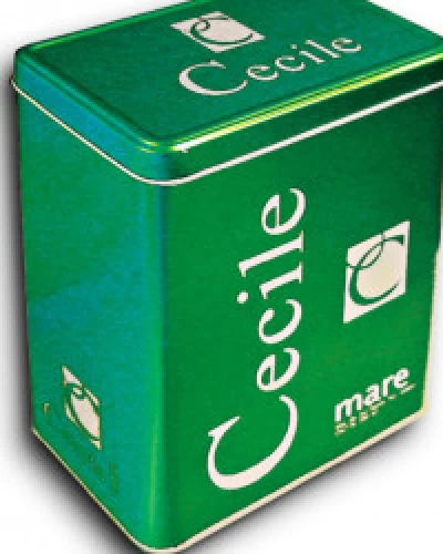 Cosmetic Tin Box 2